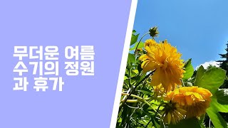 무더운 여름의 수기의 정원과 휴가