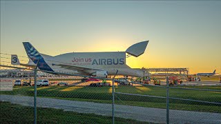 Airbus Beluga, TUI \u0026 More! | Melbourne Orlando Int'l Airport Plane Spotting 2024