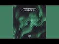 martin garrix u0026 blinders aurora extended mix