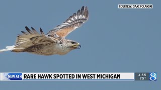 Birders keep eyes on the sky for rare hawk in W MI