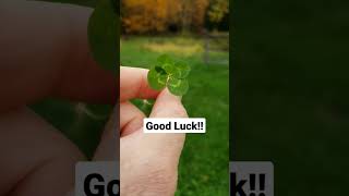 October 18, 2022.  Good Luck!  #lucky #goodluck #inspiration