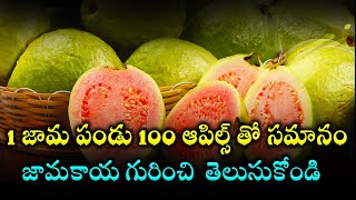 జామకాయ గురించి ఈ ఒక్క విషయం తెలుసుకోండి | Health Benefits of Guava Fruit | Fruits Benefits