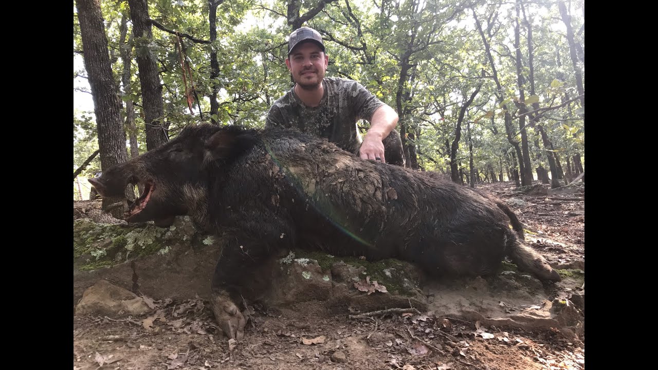 Spot And Stalk Hog Hunt In Oklahoma! Big Boar Down! - YouTube