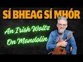 How To Play Sí Bheag Sí Mhór on Mandolin - A Waltz by Turlough O'Carolan (4K)