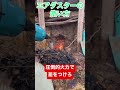 【焚き火】エアダスターで超火力を見せつけろ shorts makita キャンプ 焚き火