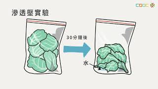 108新課綱｜高二化學｜【觀念】滲透壓的應用與逆滲透