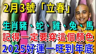 準的可怕，就在明天！2月3號「立春」，生肖豬、蛇、雞、兔、馬記得一定要穿這個顏色，2025好運一旺到年底！第二天就有橫財降臨！|花好月圓 #運勢 #風水 #佛教 #生肖 #佛語禪心