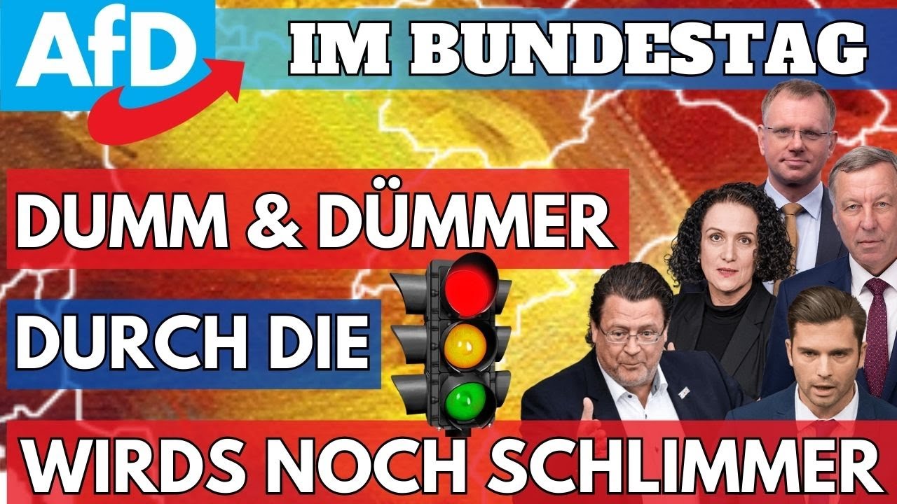 Die AfD Hat VERNÜNFTIGE LÖSUNGEN Aber Die AMPELREGIERUNG BLOCKT ALLES ...