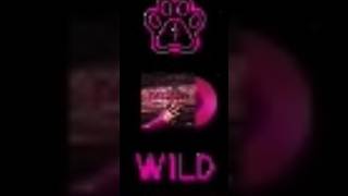 KATSEYE - WILD ( UNRELEASED ALBUM VINYL INCLUDING SONG SNIPPET!) # #blackpink #katseye #coachella