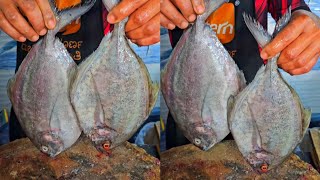 Big black pomfret silver pomfret vaval fish halwa fish വെള്ള ആവോലി മീൻ!! Sagar fish hoodi Bangalore