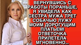 ВЕРНУВШИСЬ С РАБОТЫ ПОРАНЬШЕ, Я УВИДЕЛА КАК СЕСТРА МУЖА ТРЕТ СОБАЧЬЮ ЛУЖУ МОИМ ДОРОГУЩИМ ПЛАТЬЕМ!