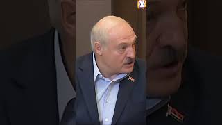 Лукашенко Путину: и ЭТИ приедут, БОЛЬШИНСТВО просится НАЗАД!! #shorts