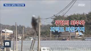 '위험의 외주화' 지역도 마찬가지