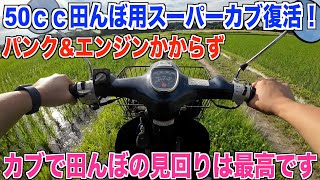 【水没スーパーカブ】田んぼ見回り用のバイクが復活しました 父の形見 30代米作り奮闘記#229