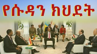 አዲስ መረጃ : የሱዳን ክህደት