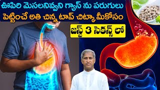 డైలీ చిటికెడు ఈ పొడి పాలలో కలిపి తీసుకుంటే ? | Gas | Indigestion | Dr Manthena Satyanarayana Raju