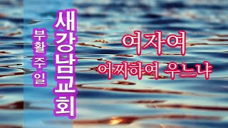 [주일설교] 2024-13 부활 주일 – 여자여 어찌하여 우느냐 (새강남교회, 여디디야목사)