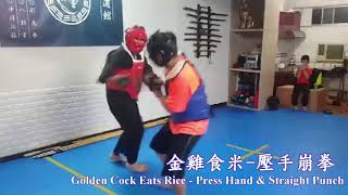 九月國術徒手技擊錦集_形意拳_八卦掌 Kung Fu Sparring Highlight in Sep_XingYiQuan_BaGuaZhang