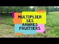 Multiplier ses arbres fruitiers