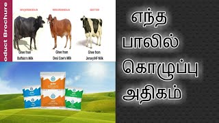 எந்த பால் பாக்கெட்டில் அதிககொழுப்புஉள்ளது/which milk pocket too much fat?