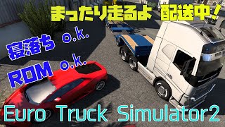 【Euro Truck Simulator 2】カタンザーロからナポリへ まったり実況 雑談枠 寝落ちo.k. 睡眠導入ドライブ【白桜もち / 新人VTuber】