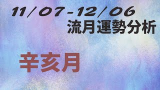 【好運愛上你】2022/11/07-12/06流月運勢｜十一月運勢｜未來一個月運勢｜感情｜工作｜壬寅年辛亥月流月運勢｜運勢分析｜十天干｜生肖｜#八字 #運勢預測 #流月