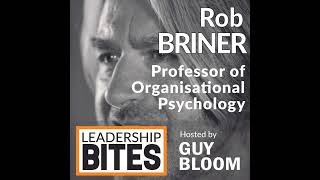 Professor Rob Briner, Organizational Psychology at Queen Mary University