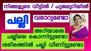 പല്ലി  വീട്ടിൽ എപ്പോഴും വരാറുണ്ടോ / Lizard ചിലയ്ക്കാറുണ്ടോ /ശരീരത്തിൽ വീഴാറുണ്ടോ /കൊന്നിട്ടുണ്ടോ