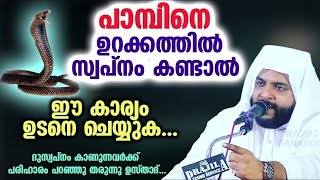 പാമ്പിനെ ഉറക്കത്തിൽ സ്വപ്നം കണ്ടാൽ... ഈ കാര്യം ഉടനെ ചെയ്യുക...!! Navas Mannani | Ramalan Speech