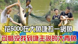 再花5000在大魚塘拉壹網魚，可惜還沒找到塘主說的那條大青魚#三農 #戶外 #我要上熱門 #小飛哥#農村生活  #抓魚vlog