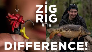 This carp fishing Zig Rig out-caught everyone else's!