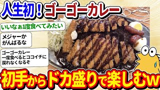 【2ch面白いスレ】人生初！ゴーゴーカレーでガッツリと食べてしまうｗｗ