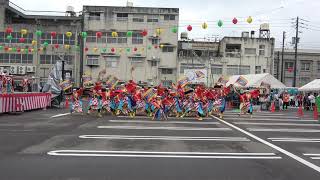 浜っ鼓★弾★ＤＡＮ　４K～銭形よさこい２０１９（やぐら会場）