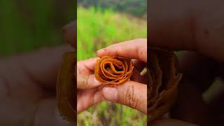 Unlock the way to eat spicy slices and rolls of Bai Qi, have you ever eaten it like this?Spicy Tia