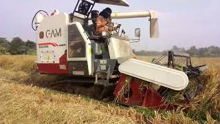 Yanmar YH 700 Full Feed Combine Harvester -combine Harvester Domo -