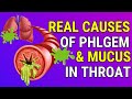 The Real Causes of Constant Phlegm and Mucus in Your Throat & How to Get Rid of It Naturally