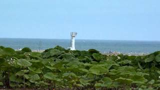 防災行政無線 定時放送　北海道広尾郡大樹町（2012/5/28）【アナログ】