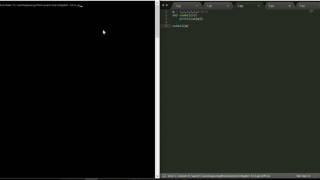 Example for *(star) operator | Python Tasks