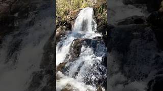 Laurel Falls Trail. Great Smoky Mountains 🏔️🥾🏞️ #travel #hike #youtubeshorts  #shorts #bucketlist