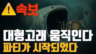 비트코인 리플 세력들의 파티가 시작되었다. 그렇다면 개미들은? 조심하셔야 합니다. 왜?