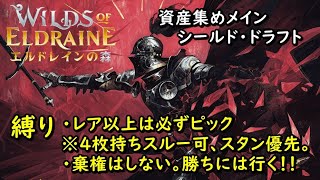 【MTGアリーナ】資産集めシールド・ドラフト【エルドレインの森】