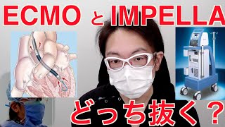 ECMO と IMPELLA どっち抜く？　ECPELLA について解説します　【心臓外科医 Q \u0026 A】