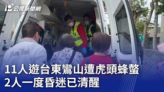 11人遊台東鸞山遭虎頭蜂螫 2人一度昏迷已清醒｜20231108 公視晚間新聞