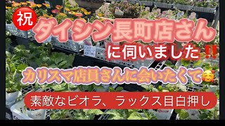 【仙台ダイシン長町店】カリスマ店員さんに会いたくて💕ビオラもラックスもいっぱい💓