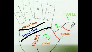 হাতের বুড়ো  আঙ্গুলের  প্রভাব(Part-21)Palmistry :The thumb tells about character