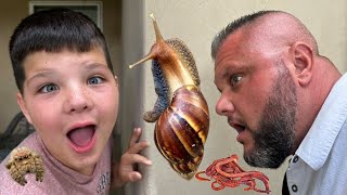 BUG HUNT with CALEB and DAD in BACKYARD with BUGS BOX! SNAILS, Slugs, Worms, Ants, Spiders!