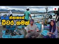 හිත පිරෙන්න කන්න මාළු නොමිලේ | FISHING VILLAGE IN JAPAN | Hithumathe JAPAN |4K