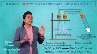 Acids Bases and Salts - 4| Reaction of Acids with Metal Carbonates and Metal Bicarbonates|  Class 10