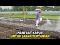 [LIVE] Manfaat Kapur Secara Spesifik Pada Lahan Pertanian