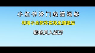 小红书冷门赛道揭秘,利用小众软件实现无脑搬运，轻松月入过万